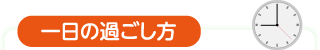 一日の過ごし方